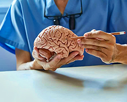 Neurosurgery services image with Health Trawell logo.