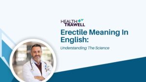 Erectile Meaning